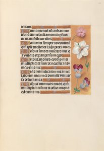Godziny królowej Izabeli Katolickiej, królowej Hiszpanii: Fol. 235r, ok. 1500. autorstwa Master of the First Prayerbook of Maximillian