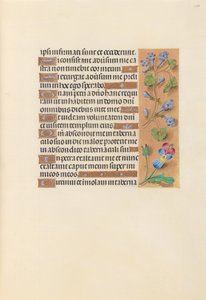 Godziny królowej Izabeli Katolickiej, królowej Hiszpanii: Fol. 236r, ok. 1500. autorstwa Master of the First Prayerbook of Maximillian