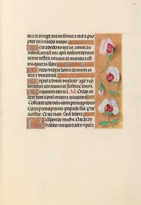 Godziny królowej Izabeli Katolickiej, królowej Hiszpanii: Fol. 237r, ok. 1500. autorstwa Master of the First Prayerbook of Maximillian