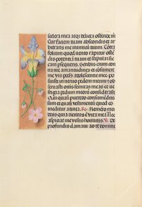 Godziny królowej Izabeli Katolickiej, królowej Hiszpanii: Fol. 237v, ok. 1500. autorstwa Master of the First Prayerbook of Maximillian