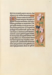 Godziny królowej Izabeli Katolickiej, królowej Hiszpanii: Fol. 238r, ok. 1500. autorstwa Master of the First Prayerbook of Maximillian