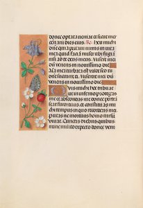 Godziny królowej Izabeli Katolickiej, królowej Hiszpanii: Fol. 238v, ok. 1500. autorstwa Master of the First Prayerbook of Maximillian