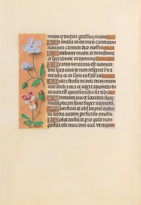 Godziny królowej Izabeli Katolickiej, królowej Hiszpanii: Fol. 239v, ok. 1500. autorstwa Master of the First Prayerbook of Maximillian