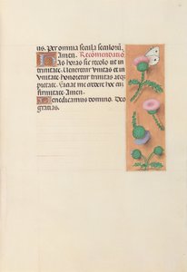 Godziny królowej Izabeli Katolickiej, królowej Hiszpanii: Fol. 23r, ok. 1500. autorstwa Master of the First Prayerbook of Maximillian