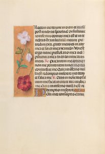 Godziny królowej Izabeli Katolickiej, królowej Hiszpanii: Fol. 244v, ok. 1500. autorstwa Master of the First Prayerbook of Maximillian