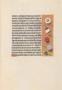Godziny królowej Izabeli Katolickiej, królowej Hiszpanii: Fol. 245r, ok. 1500. autorstwa Master of the First Prayerbook of Maximillian