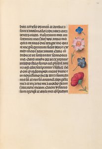 Godziny królowej Izabeli Katolickiej, królowej Hiszpanii: Fol. 245r, ok. 1500. autorstwa Master of the First Prayerbook of Maximillian