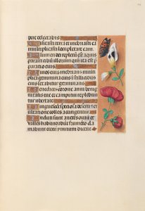Godzinki królowej Izabeli Katolickiej, królowej Hiszpanii:  Fol. 249r autorstwa Master of the First Prayerbook of Maximillian