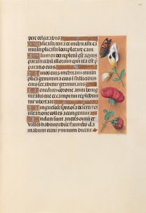 Godziny królowej Izabeli Katolickiej, królowej Hiszpanii: Fol. 249r, ok. 1500. autorstwa Master of the First Prayerbook of Maximillian