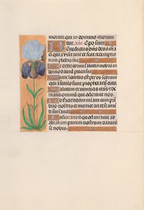 Godziny królowej Izabeli Katolickiej, królowej Hiszpanii: Fol. 254v, ok. 1500. autorstwa Master of the First Prayerbook of Maximillian