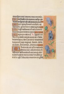 Godziny królowej Izabeli Katolickiej, królowej Hiszpanii: Fol. 256r, ok. 1500. autorstwa Master of the First Prayerbook of Maximillian