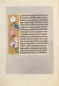 Godziny królowej Izabeli Katolickiej, królowej Hiszpanii: Fol. 258v, ok. 1500. autorstwa Master of the First Prayerbook of Maximillian