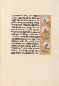 Godziny królowej Izabeli Katolickiej, królowej Hiszpanii: Fol. 259r, ok. 1500. autorstwa Master of the First Prayerbook of Maximillian
