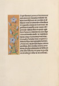 Godziny królowej Izabeli Katolickiej, królowej Hiszpanii: Fol. 259v, ok. 1500. autorstwa Master of the First Prayerbook of Maximillian