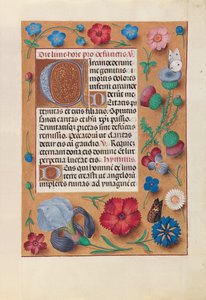 Godziny królowej Izabeli Katolickiej, królowej Hiszpanii: Fol. 25r, ok. 1500. autorstwa Master of the First Prayerbook of Maximillian