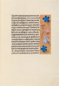 Godziny królowej Izabeli Katolickiej, królowej Hiszpanii: Fol. 260r, ok. 1500. autorstwa Master of the First Prayerbook of Maximillian