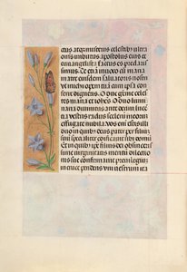 Godziny królowej Izabeli Katolickiej, królowej Hiszpanii: Fol. 262v, ok. 1500. autorstwa Master of the First Prayerbook of Maximillian