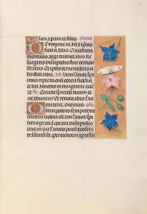Godziny królowej Izabeli Katolickiej, królowej Hiszpanii: Fol. 33r, ok. 1500. autorstwa Master of the First Prayerbook of Maximillian