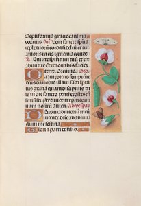 Godziny królowej Izabeli Katolickiej, królowej Hiszpanii: Fol. 35r, ok. 1500. autorstwa Master of the First Prayerbook of Maximillian
