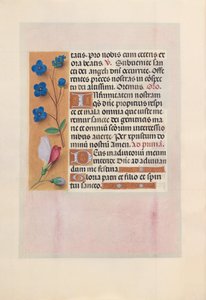 Godzinki królowej Izabeli Katolickiej, królowej Hiszpanii:  Fol. 38v autorstwa Master of the First Prayerbook of Maximillian