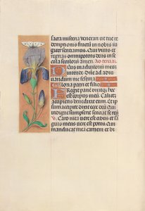 Godziny królowej Izabeli Katolickiej, królowej Hiszpanii: Fol. 45v, ok. 1500. autorstwa Master of the First Prayerbook of Maximillian