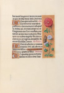 Godziny królowej Izabeli Katolickiej, królowej Hiszpanii: Fol. 46r, ok. 1500. autorstwa Master of the First Prayerbook of Maximillian
