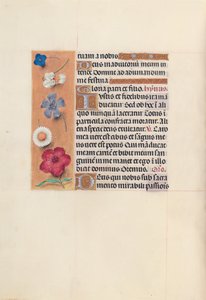 Godziny królowej Izabeli Katolickiej, królowej Hiszpanii: Fol. 48v, ok. 1500. autorstwa Master of the First Prayerbook of Maximillian
