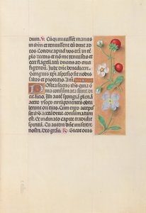 Godziny królowej Izabeli Katolickiej, królowej Hiszpanii: Fol. 55r, ok. 1500. autorstwa Master of the First Prayerbook of Maximillian