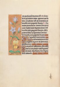 Godziny królowej Izabeli Katolickiej, królowej Hiszpanii: Fol. 55v, ok. 1500. autorstwa Master of the First Prayerbook of Maximillian