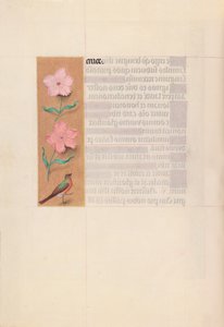 Godziny królowej Izabeli Katolickiej, królowej Hiszpanii: Fol. 56v, ok. 1500. autorstwa Master of the First Prayerbook of Maximillian