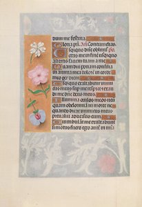 Godziny królowej Izabeli Katolickiej, królowej Hiszpanii: Fol. 57v, ok. 1500. autorstwa Master of the First Prayerbook of Maximillian