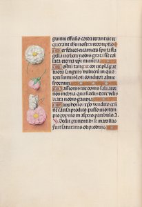 Godziny królowej Izabeli Katolickiej, królowej Hiszpanii: Fol. 58v, ok. 1500. autorstwa Master of the First Prayerbook of Maximillian