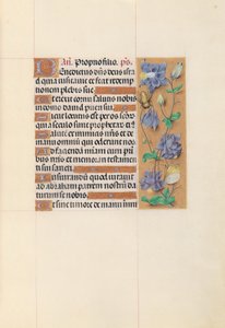 Godzinki królowej Izabeli Katolickiej, królowej Hiszpanii:  Fol. 59r autorstwa Master of the First Prayerbook of Maximillian
