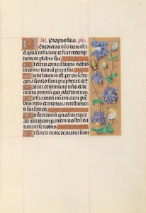 Godziny królowej Izabeli Katolickiej, królowej Hiszpanii: Fol. 59r, ok. 1500. autorstwa Master of the First Prayerbook of Maximillian