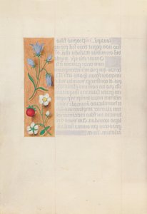 Godziny królowej Izabeli Katolickiej, królowej Hiszpanii: Fol. 60v, ok. 1500. autorstwa Master of the First Prayerbook of Maximillian