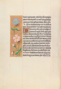 Godziny królowej Izabeli Katolickiej, królowej Hiszpanii: Fol. 62v, ok. 1500. autorstwa Master of the First Prayerbook of Maximillian