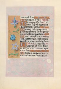 Godziny królowej Izabeli Katolickiej, królowej Hiszpanii: Fol. 69v, ok. 1500. autorstwa Master of the First Prayerbook of Maximillian