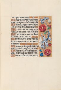 Godziny królowej Izabeli Katolickiej, królowej Hiszpanii: Fol. 70r, ok. 1500. autorstwa Master of the First Prayerbook of Maximillian