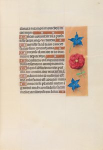 Godziny królowej Izabeli Katolickiej, królowej Hiszpanii: Fol. 74r, ok. 1500. autorstwa Master of the First Prayerbook of Maximillian