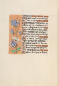 Godziny królowej Izabeli Katolickiej, królowej Hiszpanii: Fol. 75v, ok. 1500.