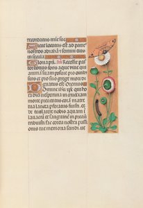 Godziny królowej Izabeli Katolickiej, królowej Hiszpanii: Fol. 76r, ok. 1500. autorstwa Master of the First Prayerbook of Maximillian