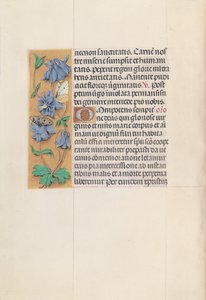 Godziny królowej Izabeli Katolickiej, królowej Hiszpanii: Fol. 83v, ok. 1500. autorstwa Master of the First Prayerbook of Maximillian