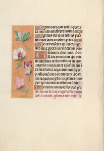 Godziny królowej Izabeli Katolickiej, królowej Hiszpanii: Fol. 92v, ok. 1500. autorstwa Master of the First Prayerbook of Maximillian