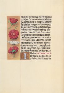Godzinki królowej Izabeli Katolickiej, królowej Hiszpanii:  Fol. 93v autorstwa Master of the First Prayerbook of Maximillian