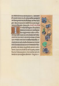 Godziny królowej Izabeli Katolickiej, królowej Hiszpanii: Fol. 96r, ok. 1500. autorstwa Master of the First Prayerbook of Maximillian