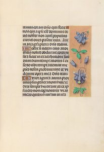 Godziny królowej Izabeli Katolickiej, królowej Hiszpanii: Fol. 99r, ok. 1500. autorstwa Master of the First Prayerbook of Maximillian