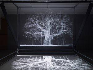 Albion, 2017 (projektor, odtwarzacz multimedialny, rusztowanie, przezroczysta folia, drewno, farba, lustro, akcesoria do rozciągania) autorstwa Mat Collishaw