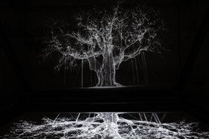 Albion, 2017 (projektor, odtwarzacz multimedialny, rusztowanie, przezroczysta folia, drewno, farba, lustro, akcesoria do rozciągania) autorstwa Mat Collishaw