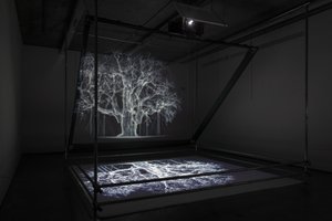 Albion, 2017 (projektor, odtwarzacz multimedialny, rusztowanie, przezroczysta folia, drewno, farba, lustro, akcesoria do rozciągania) autorstwa Mat Collishaw