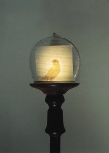 Antyk autorstwa Mat Collishaw